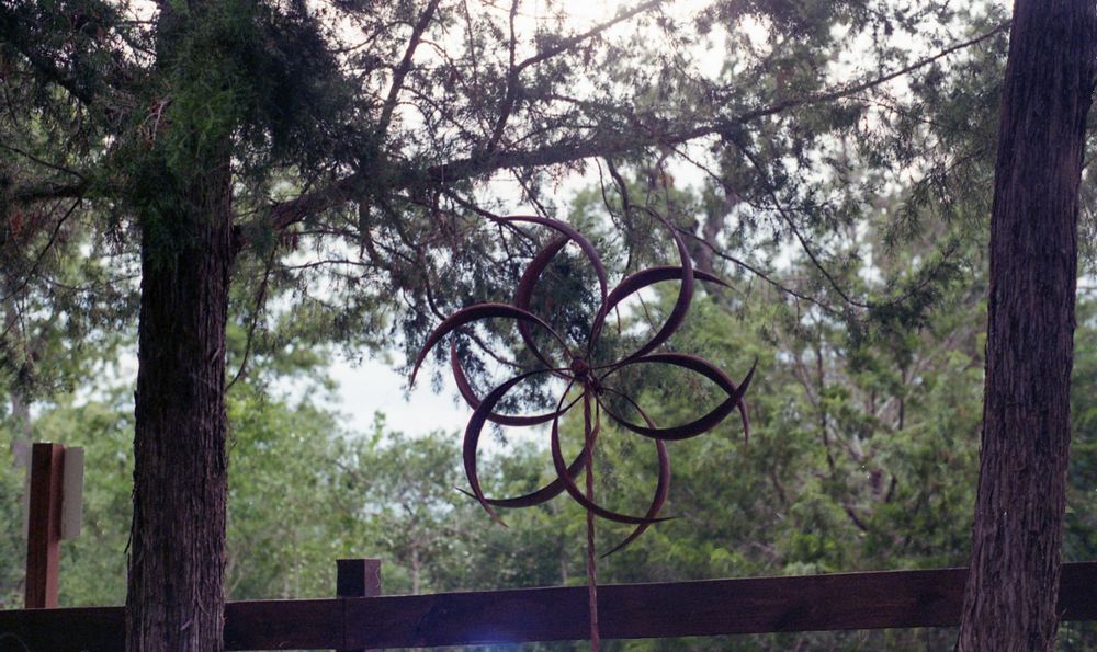 A metal wind art in the shape of a flower is centered in frame between two tree trunks and in front of a low brown fence. The metal artwork has six “petals” made of curving bronze metal that overlaps and shifts in the wind. The background is full of trees with snippets of a light grey sky peaking through gaps in the trees and leaves. The background of a sign post can be seen in the bottom left of frame. 
