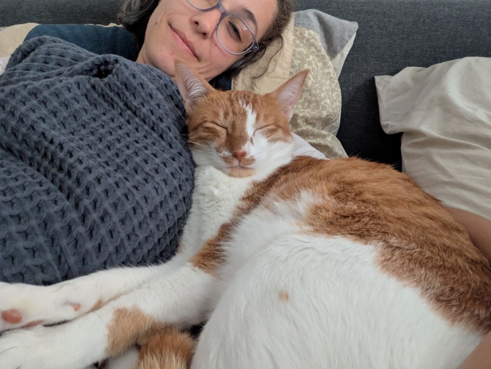 Orange and white cat snuggling with a white woman with periwinkle glasses and brown hair. The woman has a gray blanket. North look calm and happy.