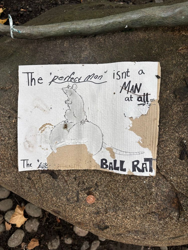 Sign next to the rat that says “the perfect man isn’t a man at all… it’s the ball rat”