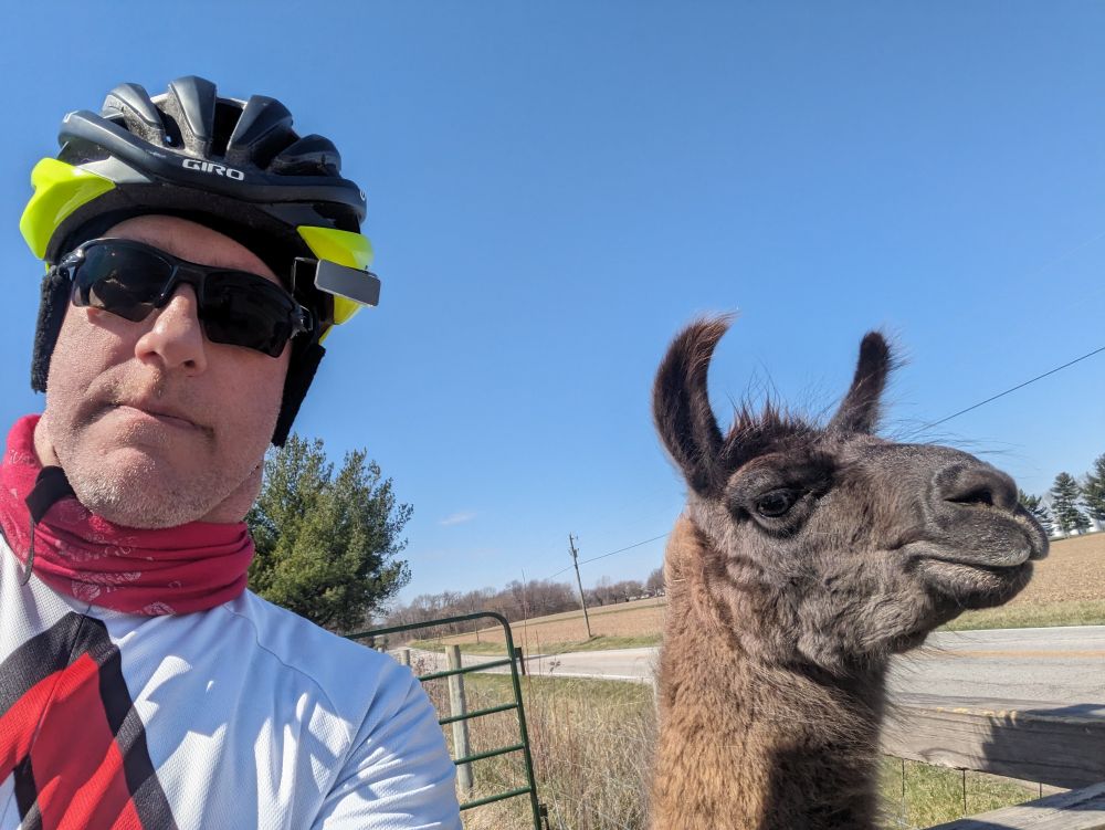 Cyclist selfie with a llama.
