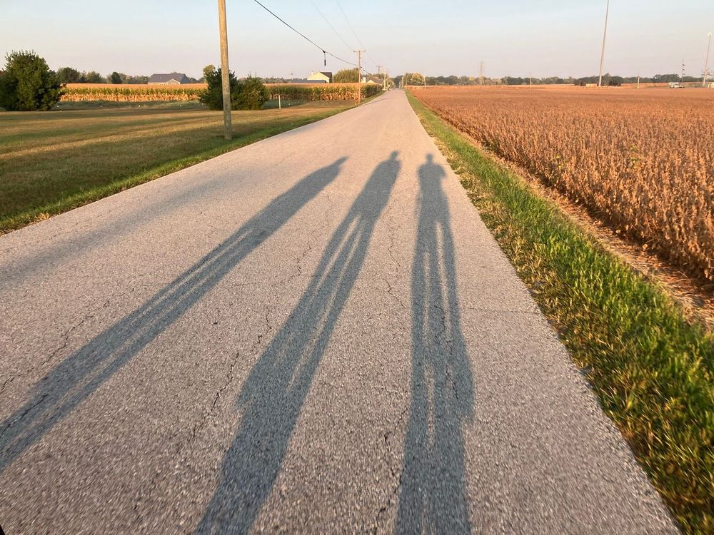 Long morning shadow of 3 cyclists directly on the road in front.