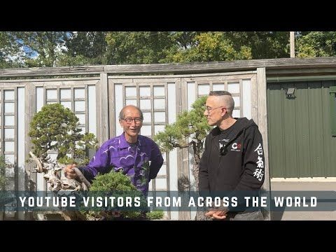 Youtube Visitors from Across The World