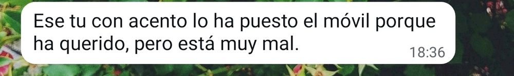 Mensaje de WhatsApp: "Ese tu con acento lo ha puesto el móvil porque ha querido, pero está muy mal."