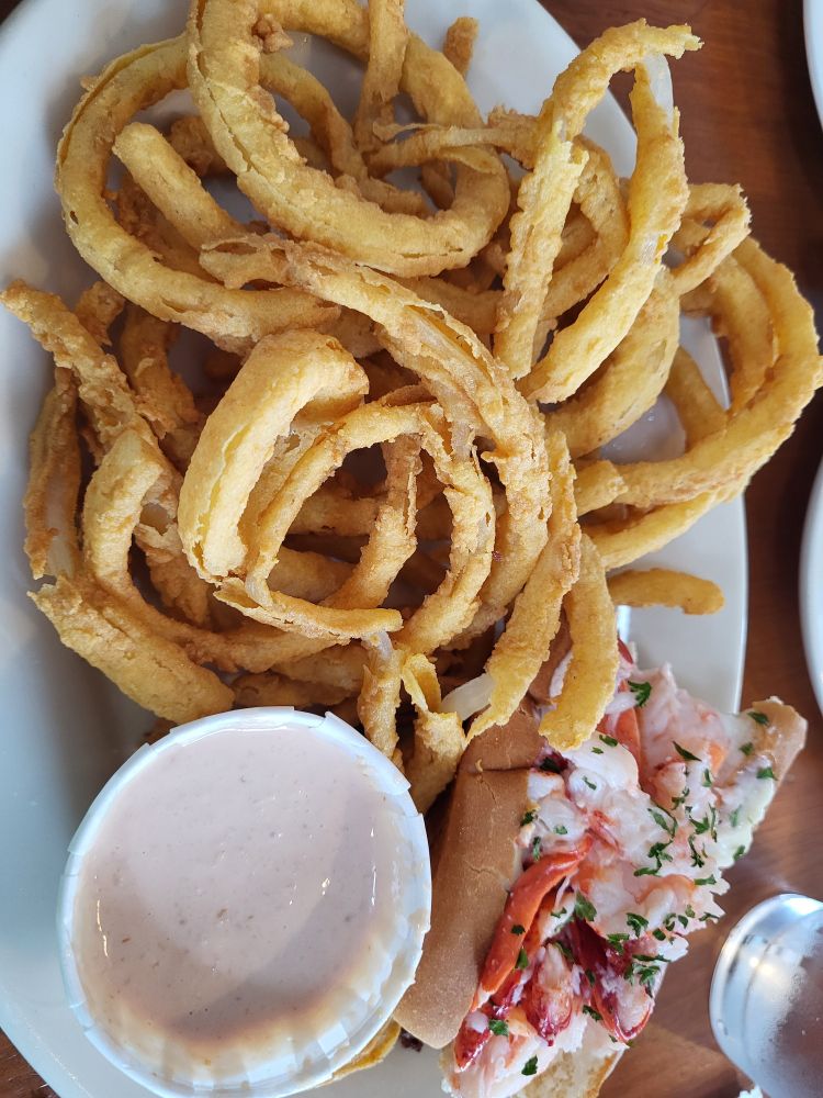A plate with onion ring and a lobster roll