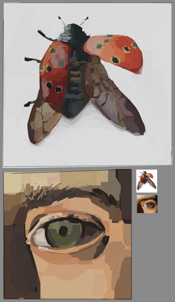 two digital painting studies; one is of a ladybug, the other is of a human eye.
