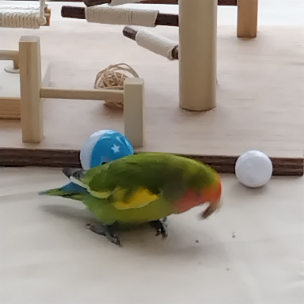 あ、頭振ってたからぶれてる（笑）