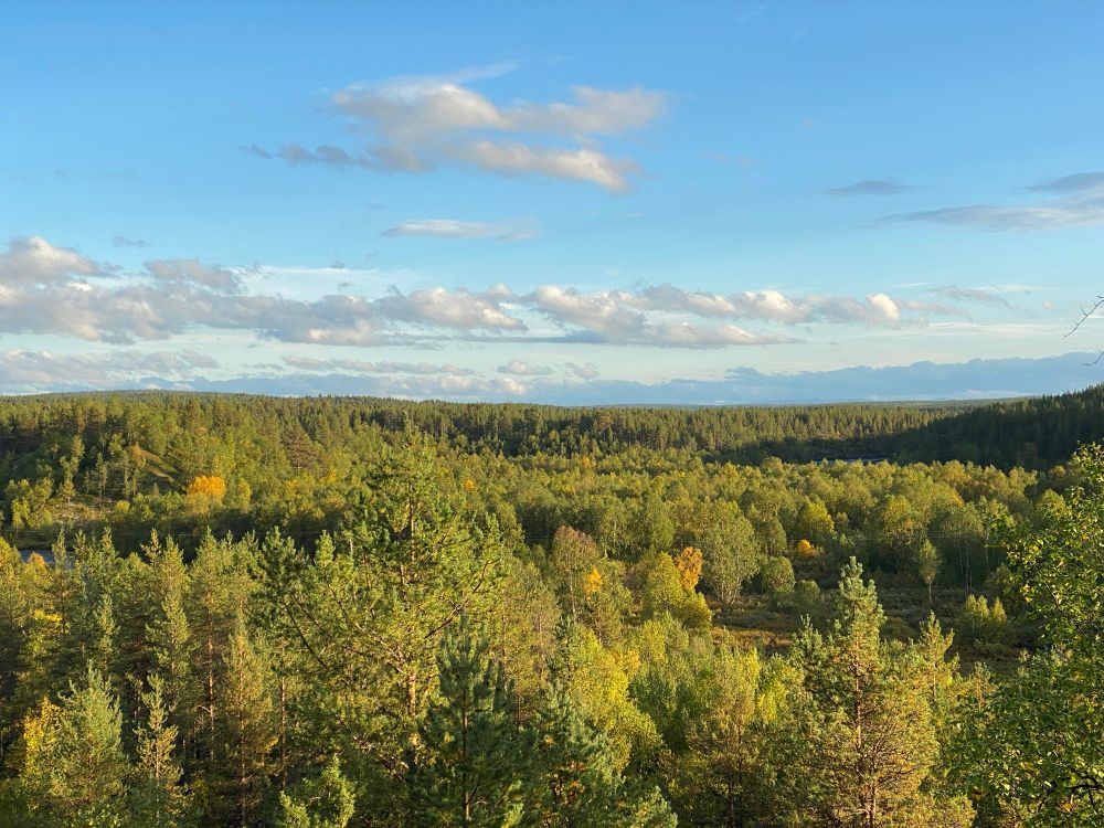 Anárjohleahki álgočavčča áigge - Inarijokilaakso alkusyksyllä