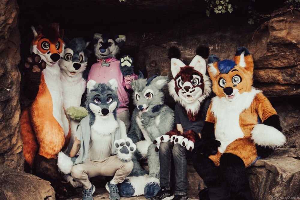 Many furries sitting in a cave