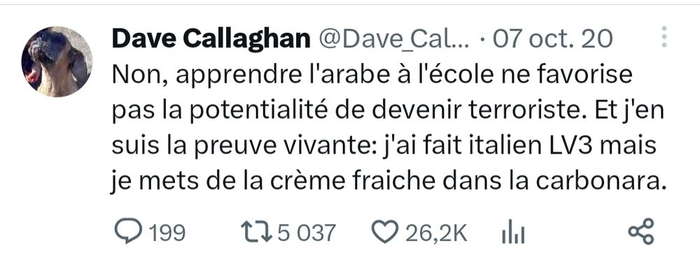 Tweet de Dave Callaghan
Non, apprendre l'arabe à l'école ne favorise pas la potentialité de devenir terroriste. Et j'en suis la preuve vivante: j'ai fait italien LV3 mais je mets de la crème fraiche dans la carbonara.