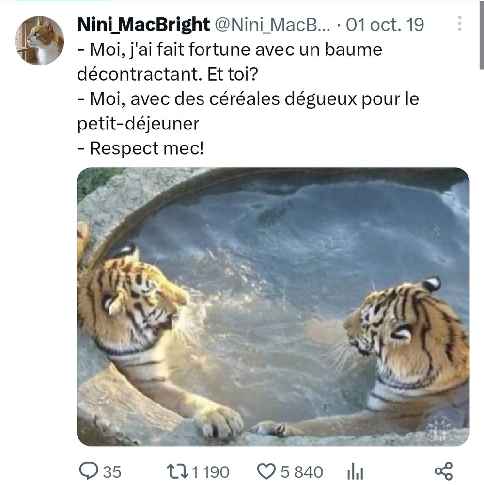 Image: deux tigres dans un bain
Texte:
- Moi, j'ai fait fortune avec un baume décontractant. Et toi?
- Moi, avec des céréales dégueux pour le petit-déjeuner
- Respect mec!

#lesanimots