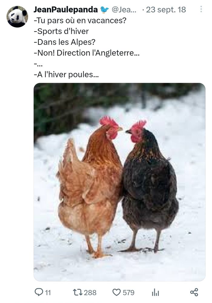 Image: deux poules en pleine discussion
Texte: 
-Tu pars où en vacances?
-Sports d'hiver
-Dans les Alpes?
-Non! Direction l'Angleterre...
-...
-A l'hiver poules...