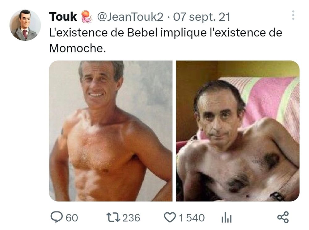 Tweet de JeanTouk2
Texte: l'existence de Bebel implique l'existence de momoche
Image: bebel et Zemmour