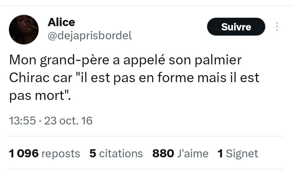 Mon grand-père a appelé son palmier Chirac car "il est pas en forme mais il est pas mort".