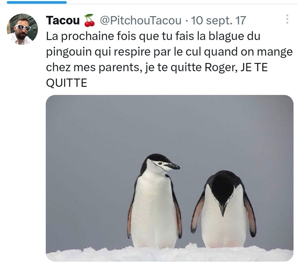 Tweet de PitchouTacou:
Image : deux pingouins dont l'un baisse la tête.
Texte; La prochaine fois que tu fais la blague du pingouin qui respire par le cul quand on mange chez mes parents, je te quitte Roger, JE TE QUITTE
