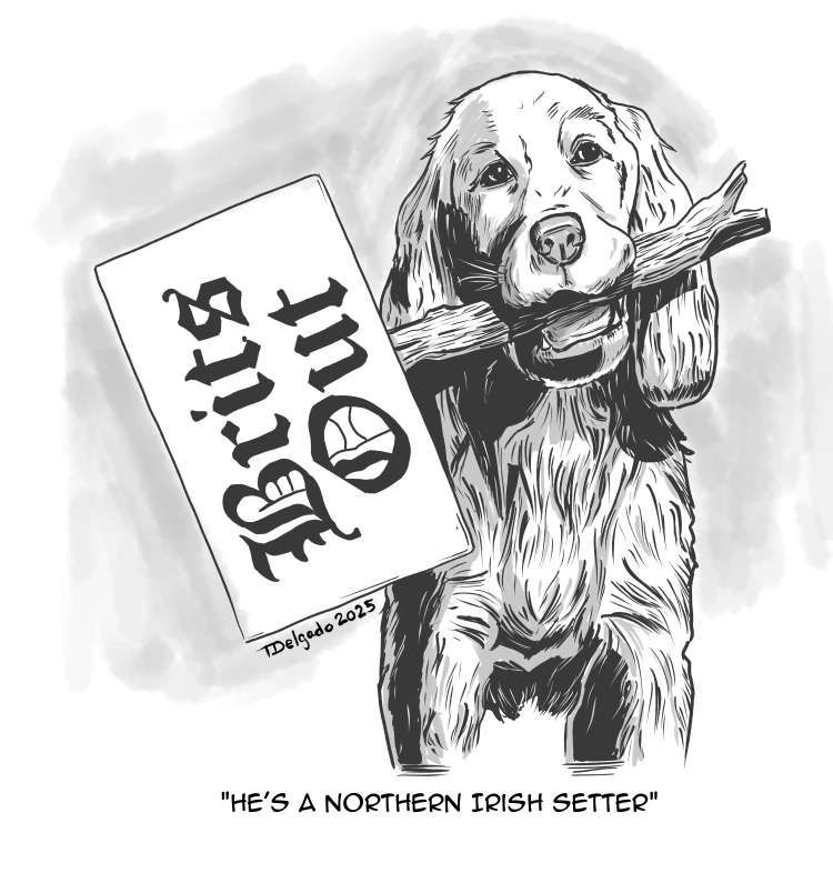 A one-panel comic featuring a dog holding a sign that says "Brits Out." Below the dog is a caption that reads "He's a Northern Irish Setter."