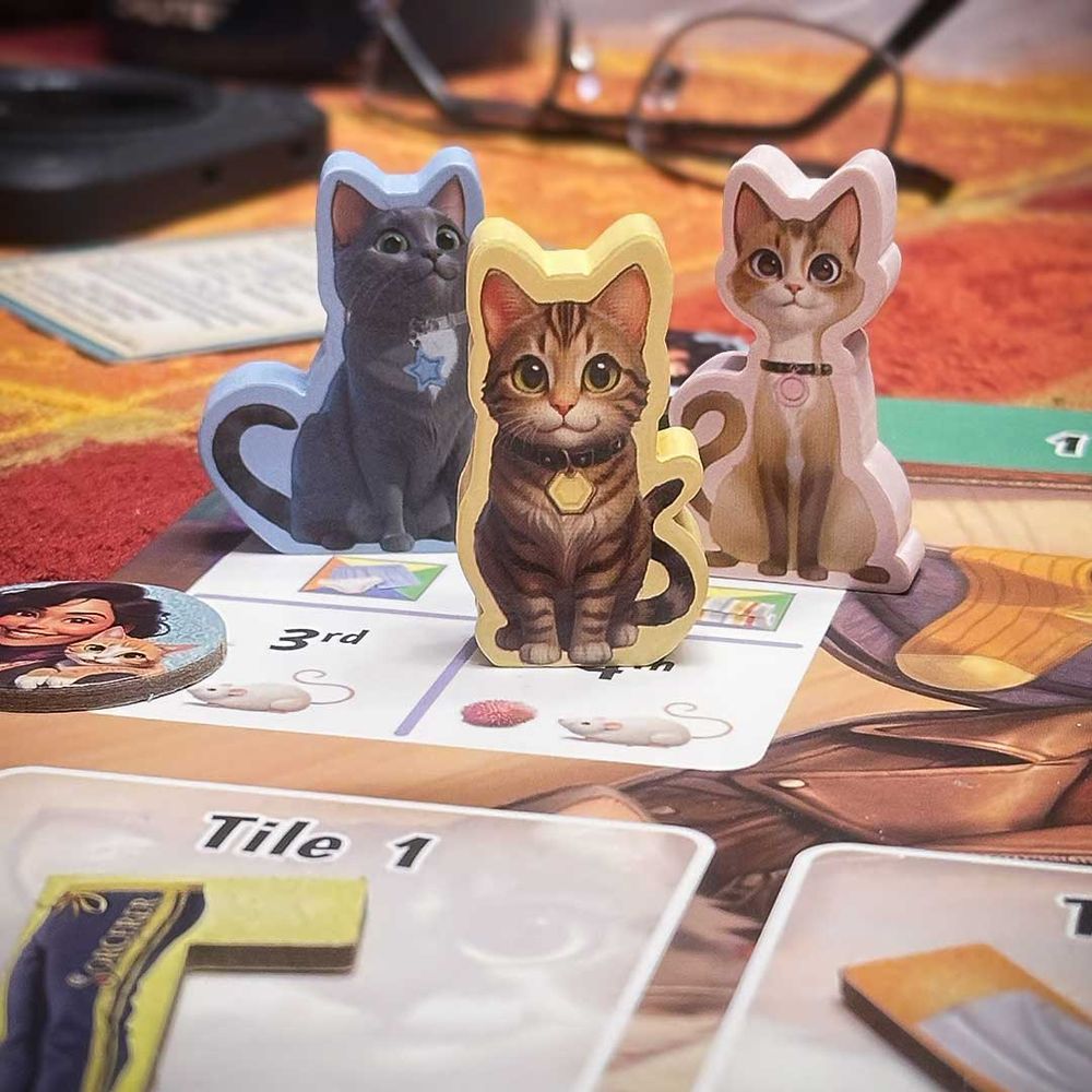 Some of the playing pieces from the board game "Pack the Essentials"