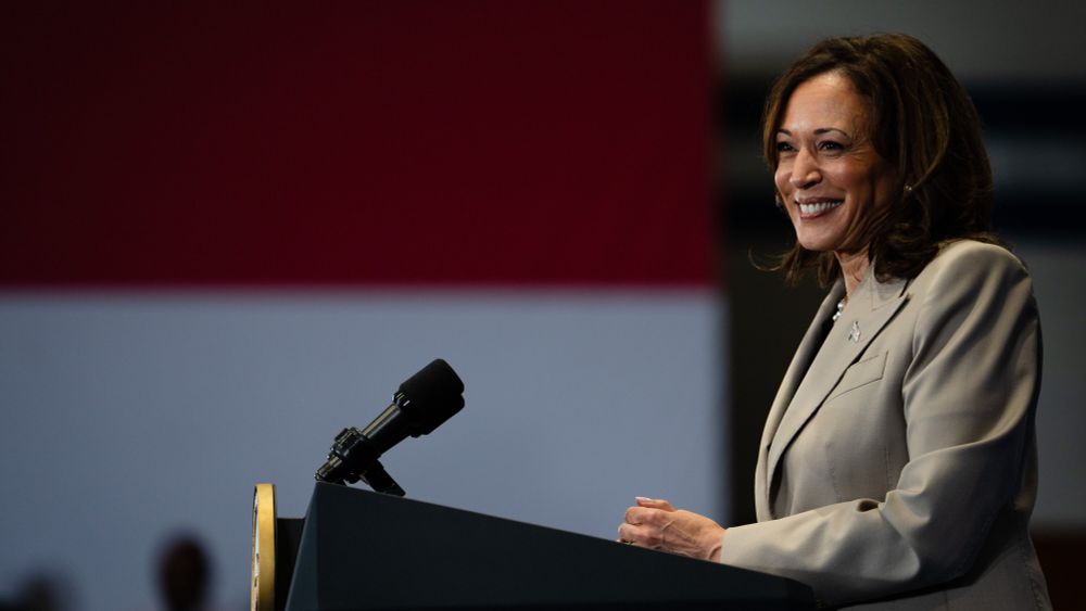 Call With Harris Struggles to Reassure Major Democratic Donors