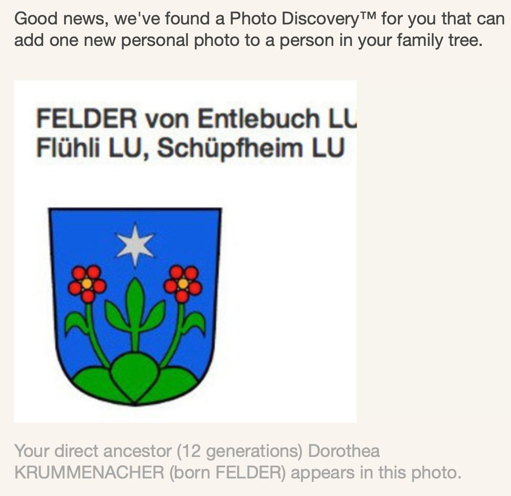 Screenshot from a MyHeritage.com email, suggesting that a cartoon heraldic shield is a personal photo of a woman born circa 1588