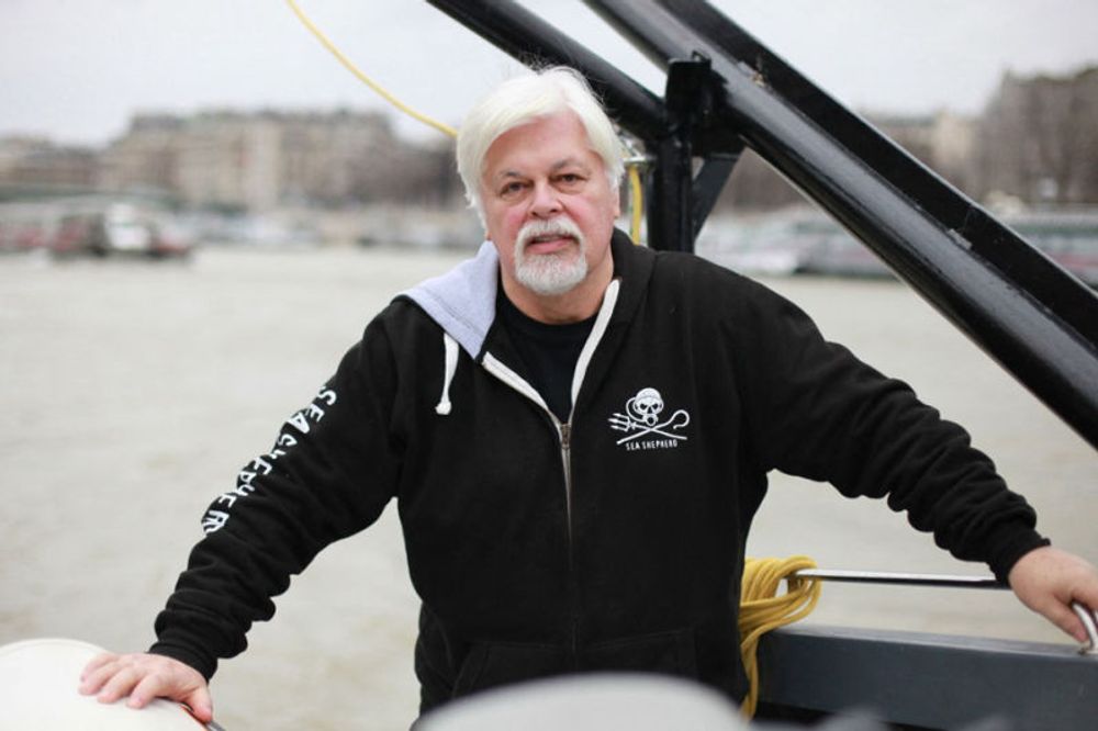 Groenland | Nouvelle audience sur le maintien en détention du militant écologiste Paul Watson