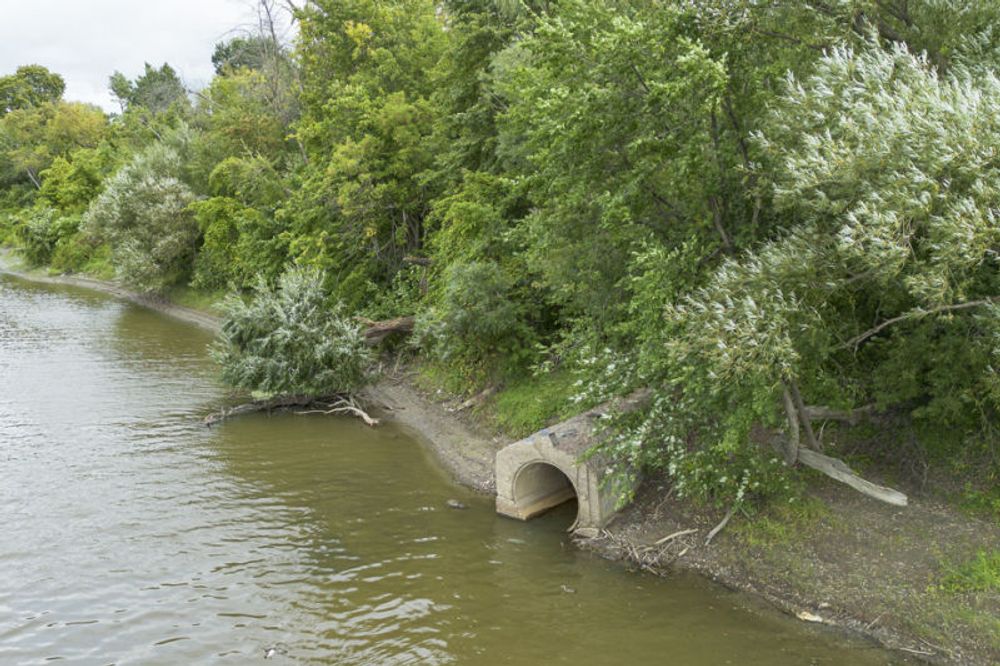 Le facteur humain | De l’évier à la rivière