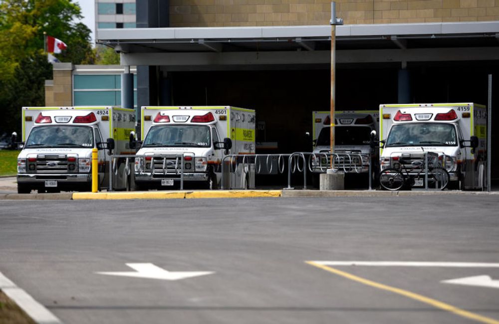 Official confirms Ontario child died of rabies after bat exposure