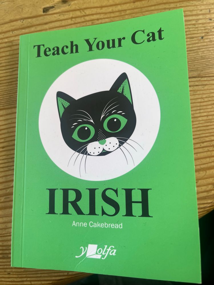 Book cover. Green with a green-eyed black and white cat in the centre. Title: ‘Teach Your Cat / Irish’. By Anne Cakebread.