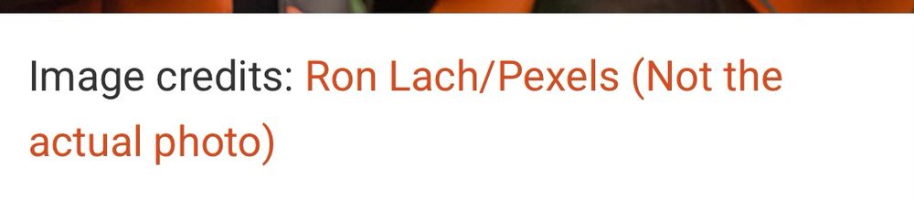 Screen grab of an image caption reading “Image credits: Ron Lack/Pexels (Not the actual photo)”.