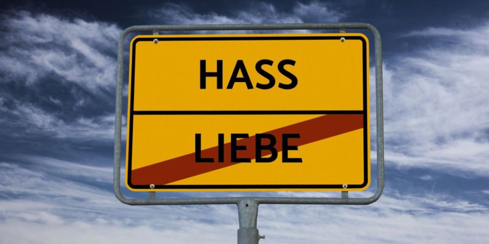 Uncovering a German Toxic Language Bias in Google’s AI Tool