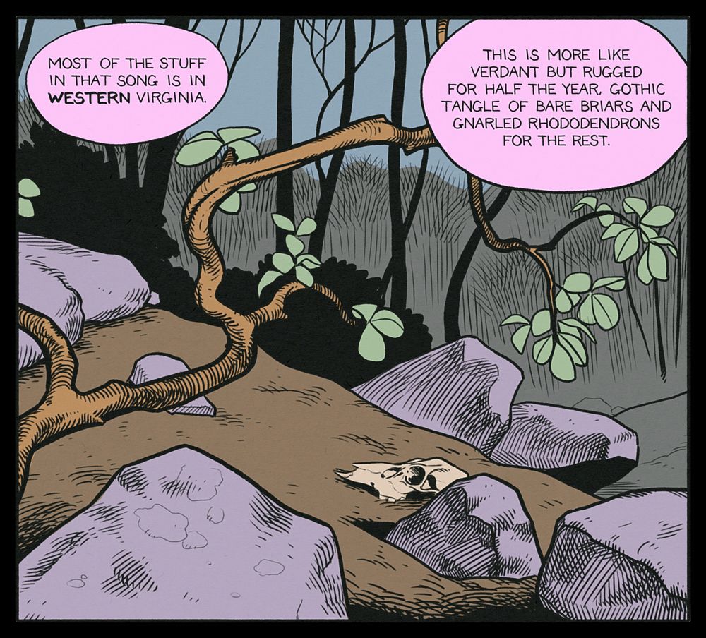 GREG: Most of the stuff in that song is in WESTERN Virginia. This is more like verdant but rugged for half the year, gothic tangle of bare briars and gnarled rhododendrons for the rest.