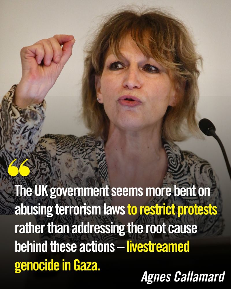 A photo of Agnes Callamard with a quote that reads: "The UK government seems more bent on abusing terrorism laws to restrict protests rather than addressing the root cause behind these actions – livestreamed genocide in Gaza."