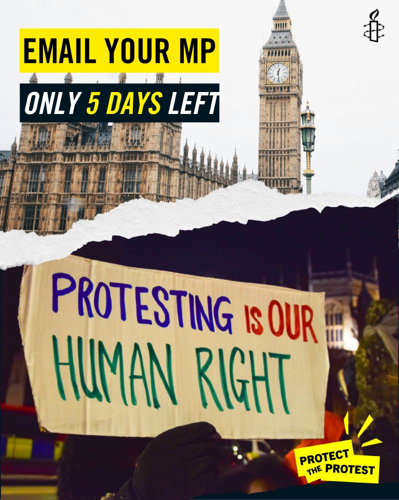 placard saying protesting is our human right, with split image showing Westminister in the background