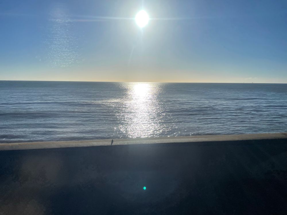 Dawlish seafront from the train, not raining for once