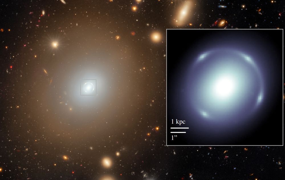 Euclid imaging data used in this work, and in which Altieri’s lens was discovered. The main panel shows a composite false colour image produced by combining the VIS and NISP data. The higher resolution broadband VIS IE image is used to set the brightness, with the colour provided by the lower resolution NISP YE, JE, and HE passband images. The central light of the galaxy is suppressed to make the lensed arc more visible. The inset shows only the higher resolution VIS data in the central 8″ of the image, indicated by the square in the main panel. The angular scale and the physical scale at the redshift of the lens are given in each frame.