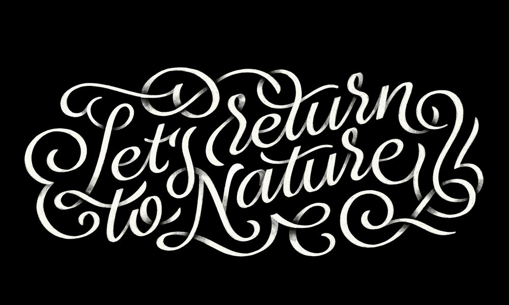 Handlettered type saying 'let's return to nature' with lots of flourishes