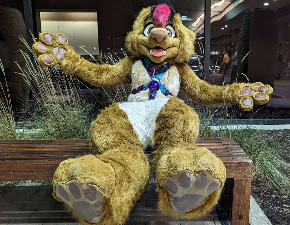 Dachshund fursuiter sitting on a bench outside the hotel. It's nighttime. The fursuiter is wearing a harness. They are facing the viewer, and have both arms extended as if welcoming a hug, and both feet are extended out showing off the pawpads.