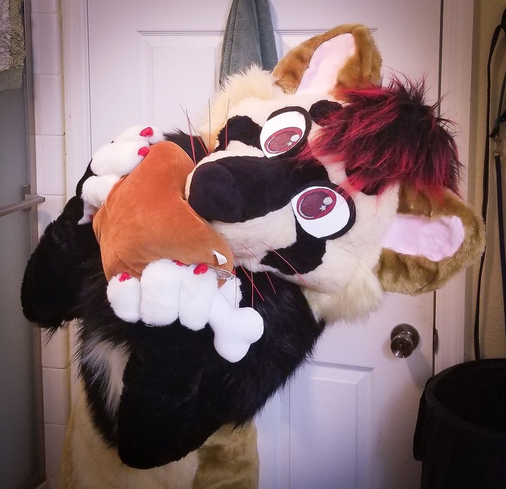 Fursuit of Bandit the ferret. He's holding a plush meat prop. He's pretending to take a bite out of it.