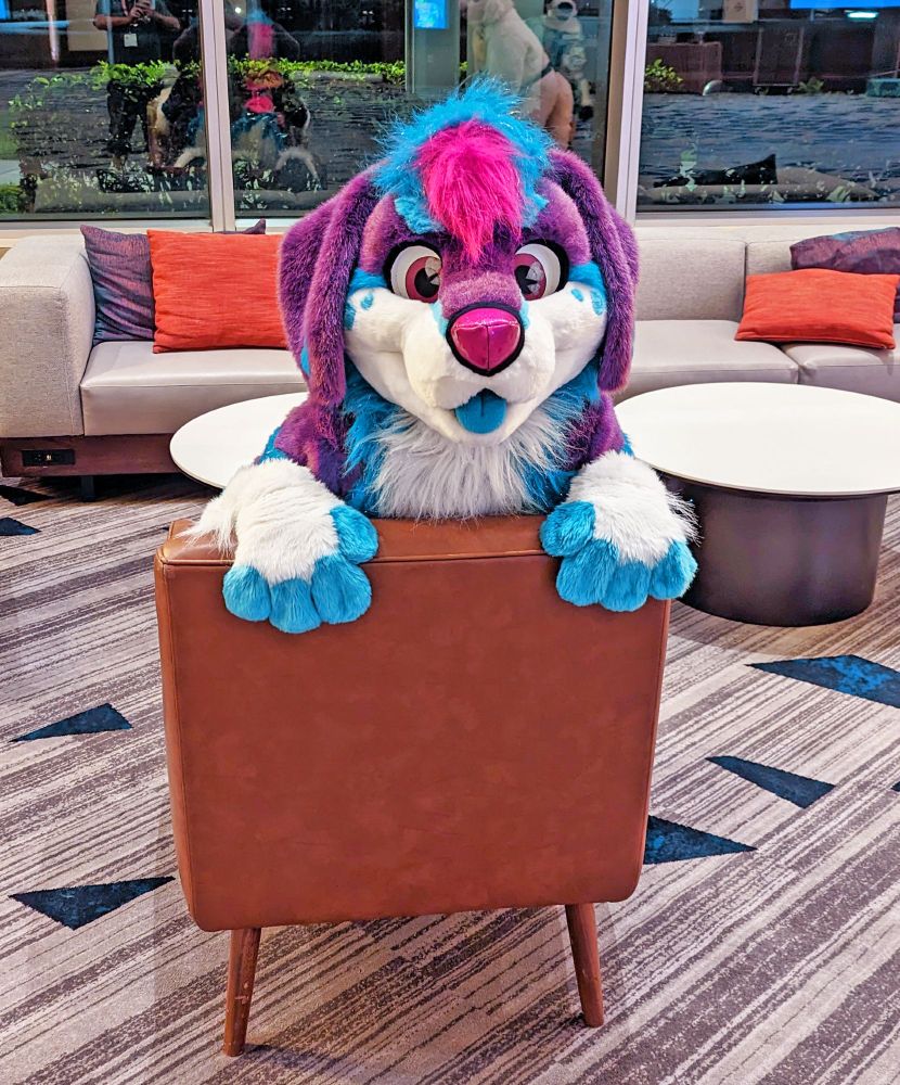 Sparkle Alex fursuit. They're inside a hotel convention center. Sparkle Alex is sitting backwards in a chair, facing the viewer. They are looking directly at the viewer, with their hand paws resting over the back of the chair.