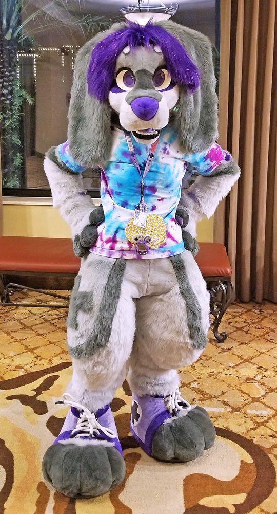 Super Nintendo themed dog fursuiter standing in a hallway in a hotel. He's staring at, and facing the viewer with his hands on his hips. He's wearing a tie-dyed T-shirt, a Super Nintendo lanyard with a Giga Pet virtual pet attached to it, and Super Nintendo themed fursuit paw sneakers.