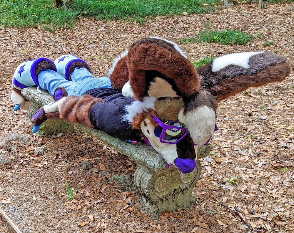 A chihuahua fursuiter is planking on a stone bench in a public nature park