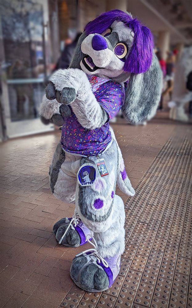 Fursuit of Carter, the Super Nintendo themed dog. He is standing outside the Hyatt Regency O'Hare, which is the Midwest Fur Fest hotel. He is standing slightly to the side, head leaned back, and arms raised up in a begging pose.