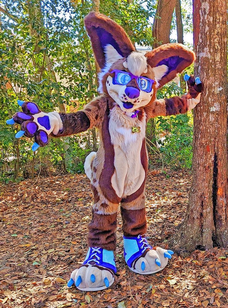 Fursuit of Jordan the chihuahua. They are outside in a public nature park. Jordan is standing near a tree, their left palm resting on it, with their right arm extended outward, as if they are beckoning the viewer to come join them. The ground is covered in brown, crunchy dead leaves, and the background is some thin green trees.