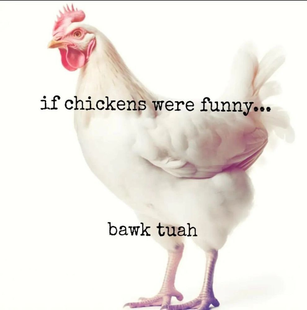 A picture of a chicken with the caption “if chickens were funny… bawk tuah”