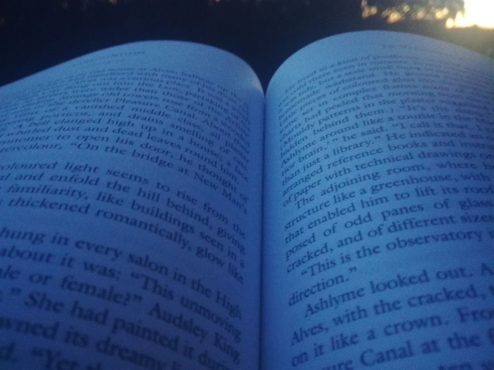A spread of In Viriconium book written by Author M. John Harrison under the midnight light of Midsummer's Eve in Finland with a piece of the sky seen in the background behind some trees. Truly, there's enough light in these conditions for one to be able to read a printed book.