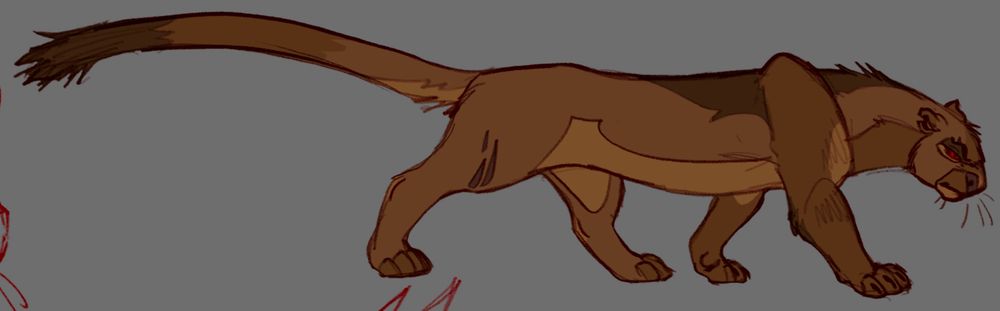 drawing of a jaguarundi in an imitation of the The Lion King (1994) style. It has scars on its face, ear and leg. The fullbody shows the interesting proportions of the yaguarundi