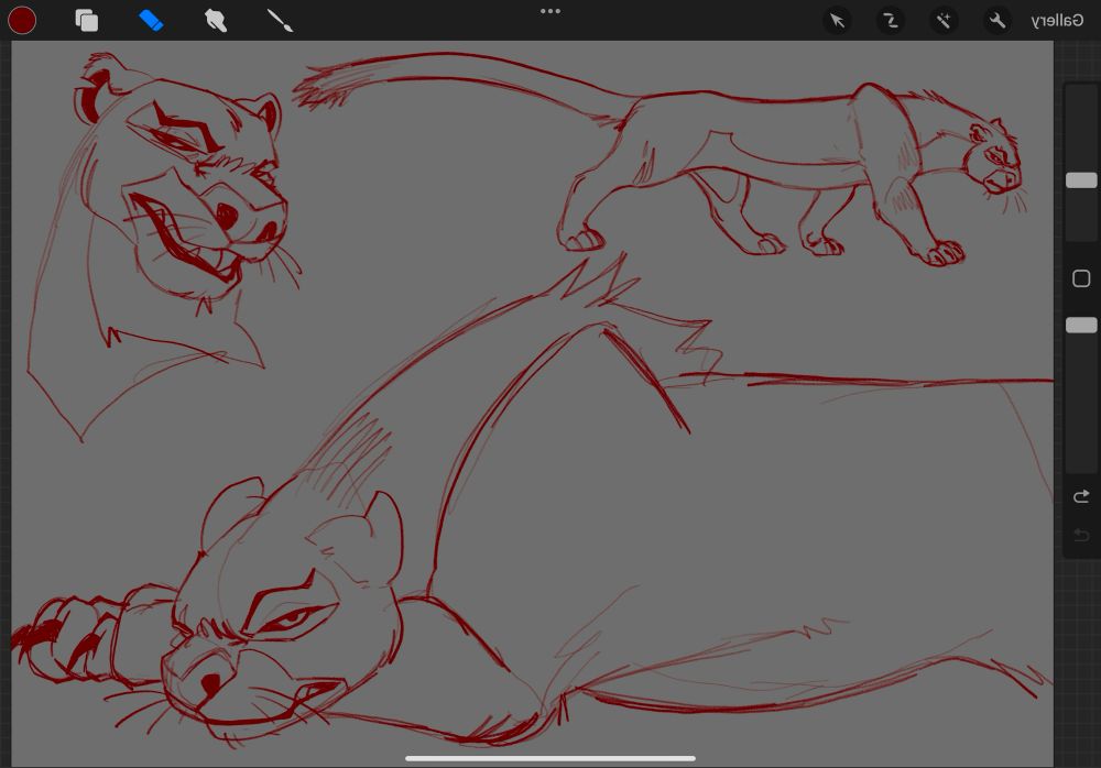 3 sketches of a jaguarundi in an imitation of the style of The Lion King (1994)

The headshot in the corner is off model. The fullbody up top shows the unique proportions of the yaguarundi. The halfbody at the bottom features the feline looking grumpily at the camera