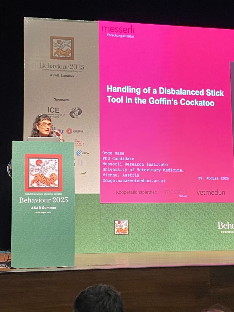 Özge in front of a slide reading Handling of a Disbalanced Stick Tool in the Goffin's Cockatoo