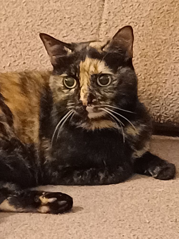 poticha trop mignonne