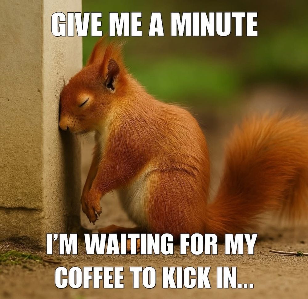 GIVE ME A MINUTE
I'M WAITING FOR MY COFFEE TO KICK IN...