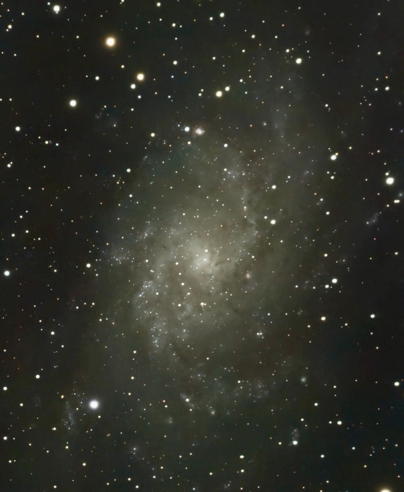 The spiral arms of the galaxy M33 are surrounded by a much nearer field of stars.