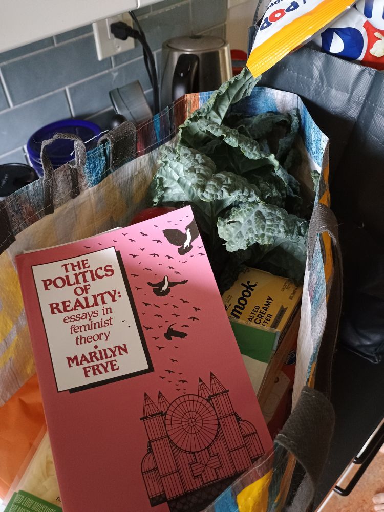 Bag of groceries on the counter with a copy of The Politics of Reality by Marilyn Frye on top